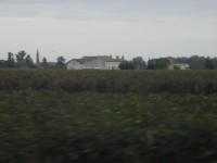 /album/fenykepgaleria/p9200849-masolata-jpg/
